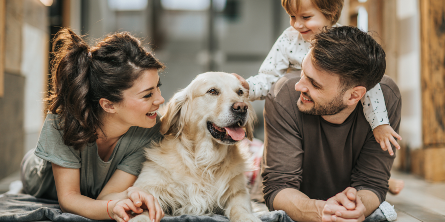 Why Vegan Hypoallergenic Pet Shampoo Is the Healthiest Choice for Your Dog or Cat