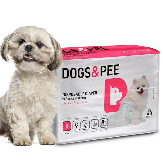 Dogs & Pee Diapers