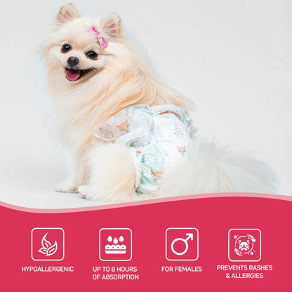 Pañales para perros y pipí