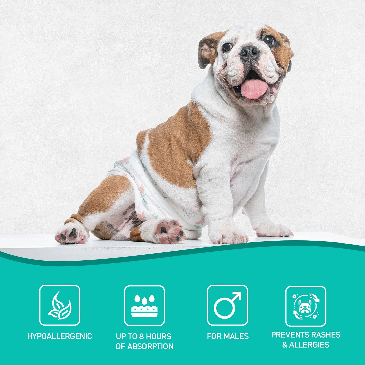 Pañales para perros y pipí
